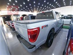 فۆرد F-150